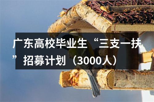 广东高校毕业生“三支一扶”招募计划（3000人） 图片
