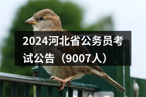 2024河北省公务员考试公告（9007人） 图片