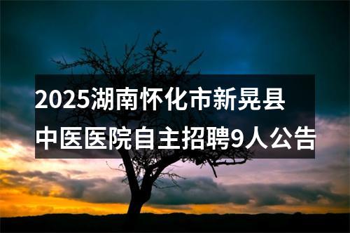 2025湖南怀化市新晃县中医医院自主招聘9人公告 图片