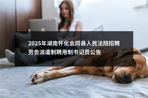 2025年湖南怀化会同县人民法院招聘劳务派遣制聘用制书记员公告 图片