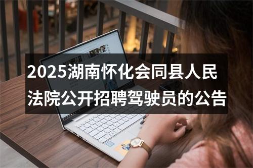 2025湖南怀化会同县人民法院公开招聘驾驶员的公告 图片