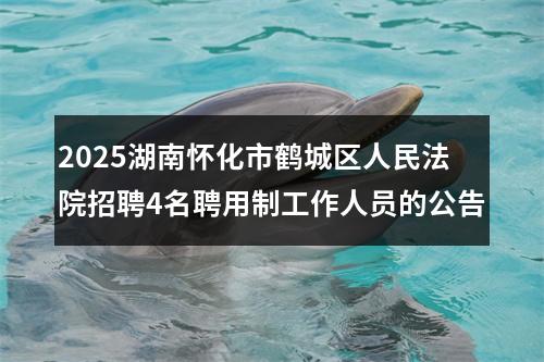 2025湖南怀化市鹤城区人民法院招聘4名聘用制工作人员的公告 图片