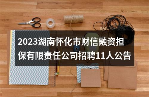 2023湖南怀化市财信融资担保有限责任公司招聘11人公告 图片